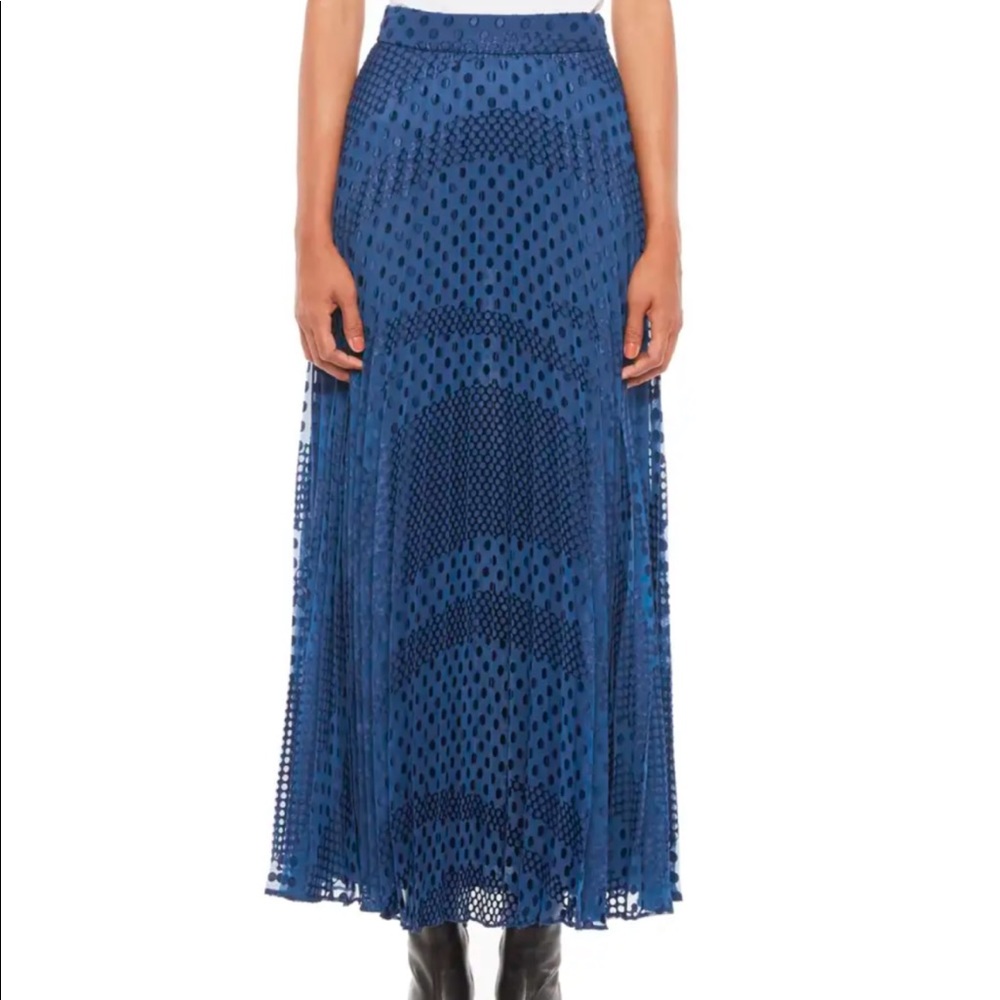 Pleated Devoré Skirt from Emorio Armani